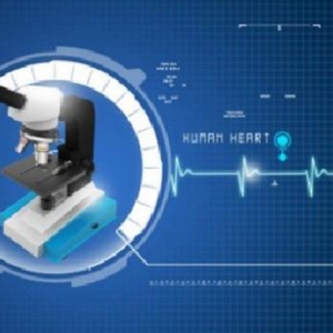 t(y)еܛ㷨O(sh)Ӌ(j)Ču(png)Ҫc(din)