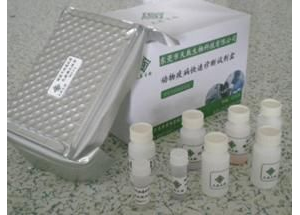 Aͪzy(c)ԇע(c)g(sh)ָ(do)ԭt