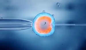 ،oֳt(y)(w)(xing)Ŀ{t(y)