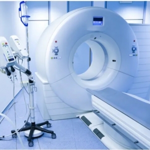 2024ϺHt(y)еչ[Ҏ(gu)ģ