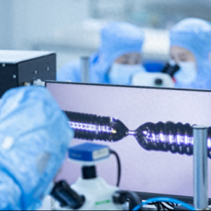 202442ϺHt(y)еչ[626ʢ_Ļ